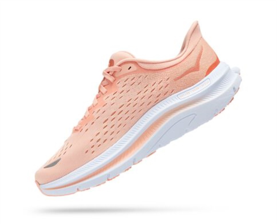 Kawana Hoka Peach Parfait Shell Coral