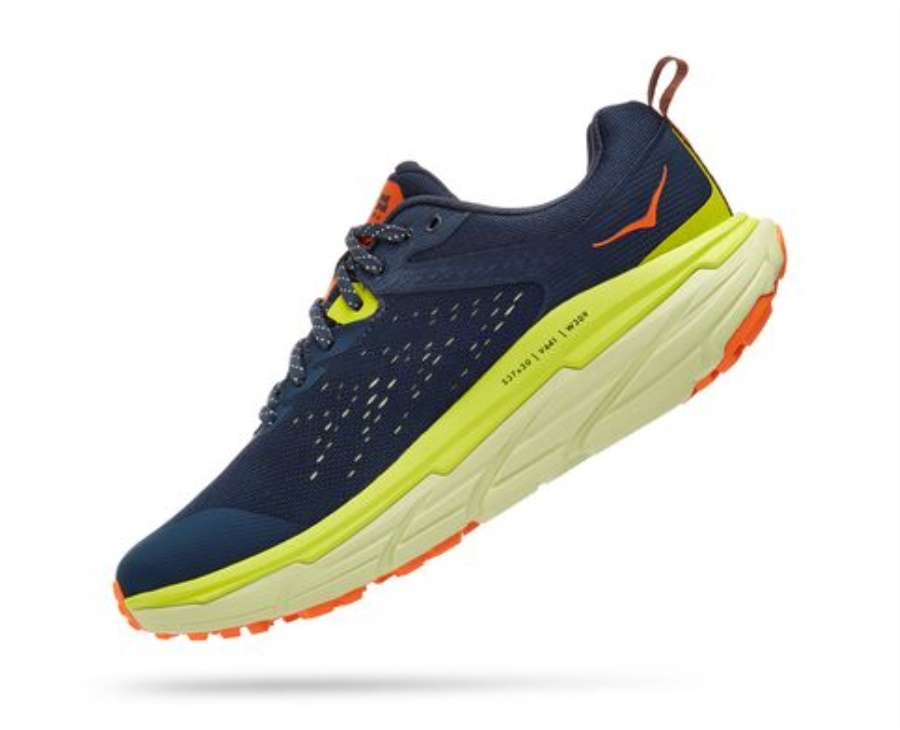 Challenger ATR 6 GTX Hoka Outer Space Butterfly