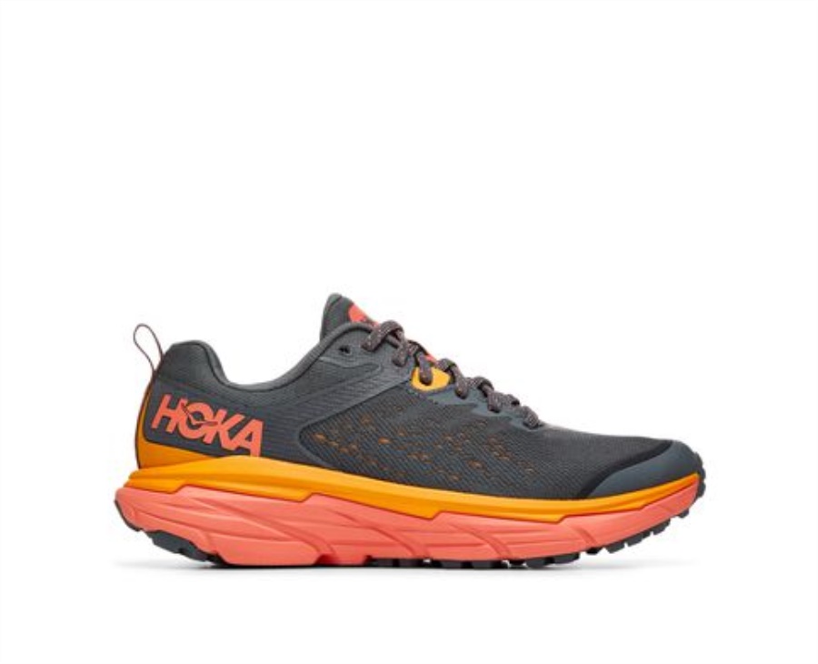 Challenger ATR 6 Hoka Castlerock Camellia